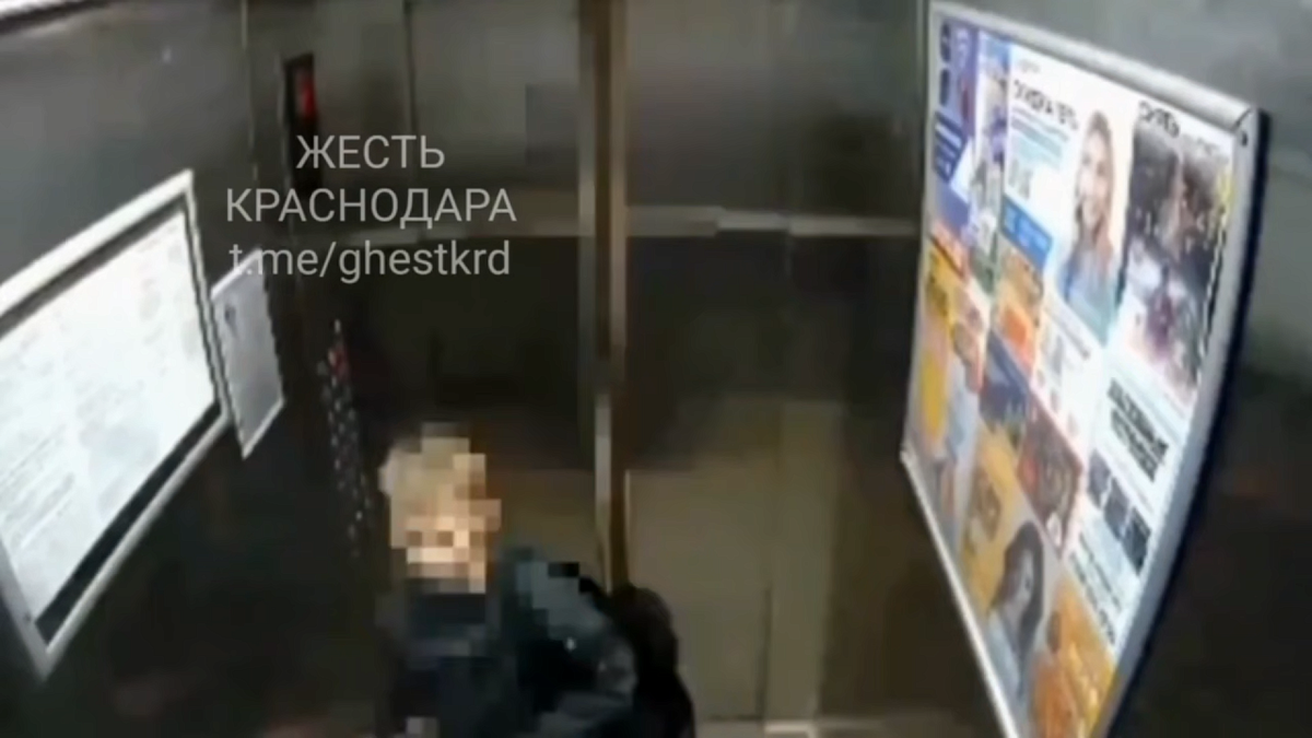    Фото: t.me/ghestkrd