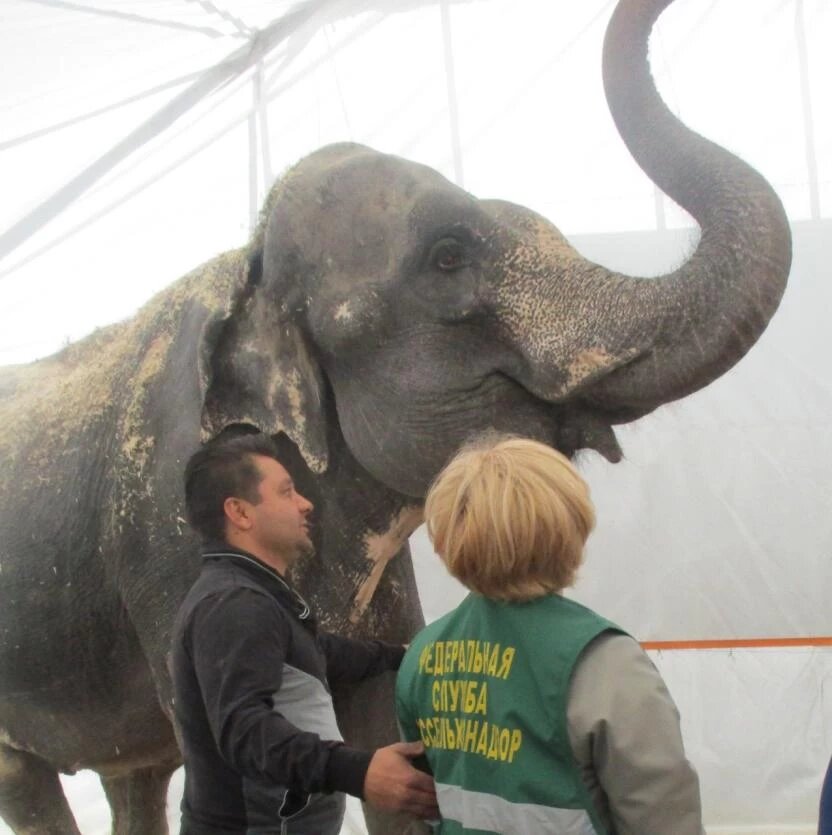 Фото: Россельхознадзор