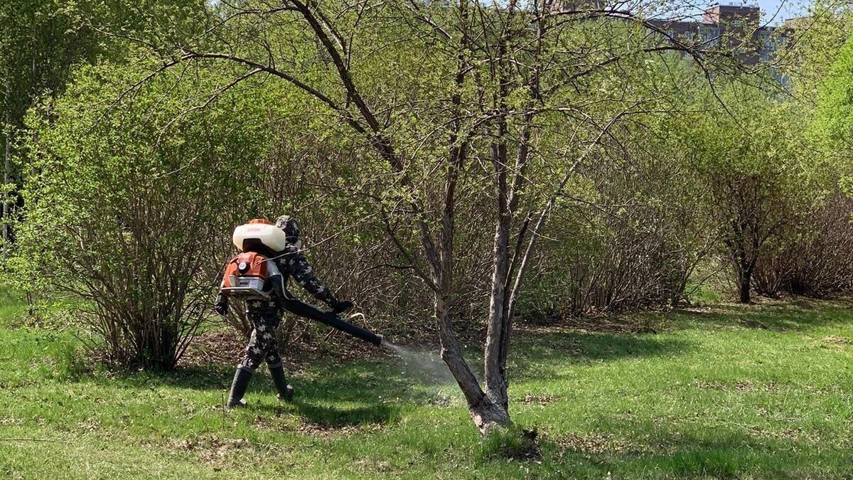     Источник: t.me/krasgorpark