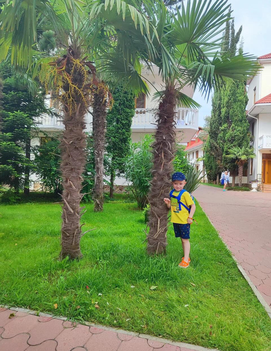 На входе на территорию. 2023г