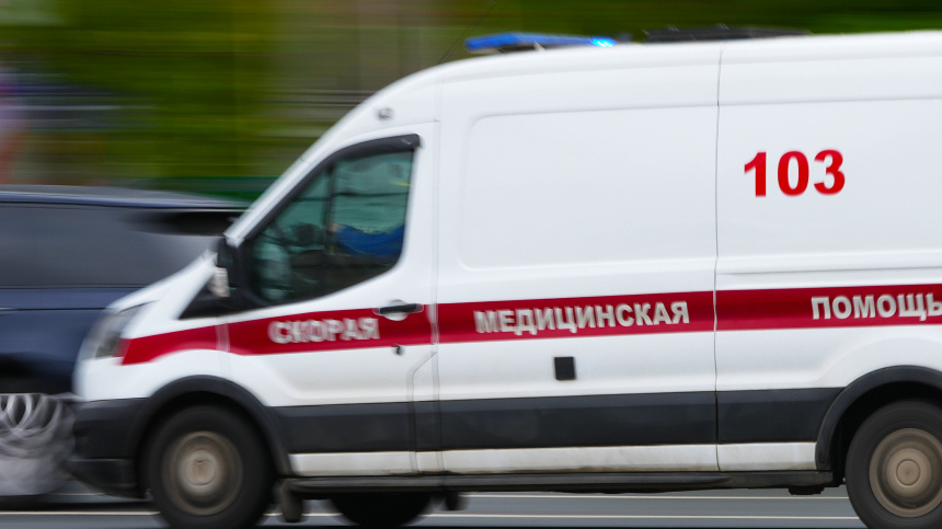    Фото: ИЗВЕСТИЯ/Дмитрий Коротаев; Telegram/Балицкий Евгений/BalitskyEV; 5-tv.ru