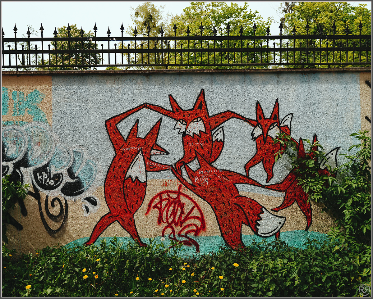 Граффити. Калининград. Фото: Михаил Рябинин
