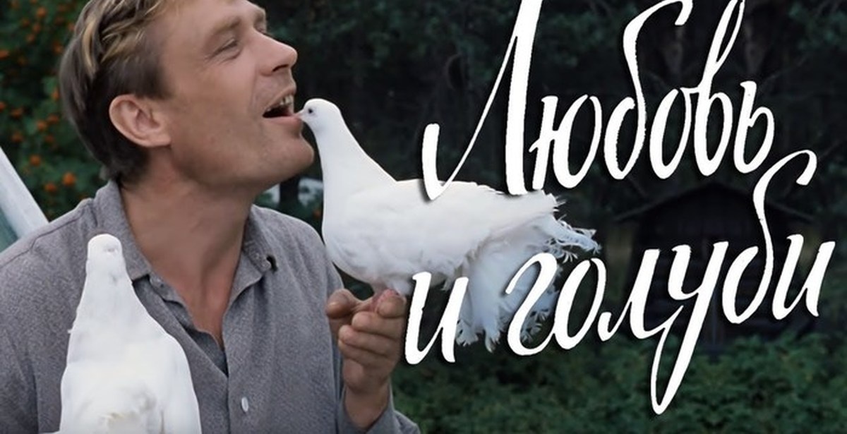 Источник картинки: https://golnk.ru/EzBzb