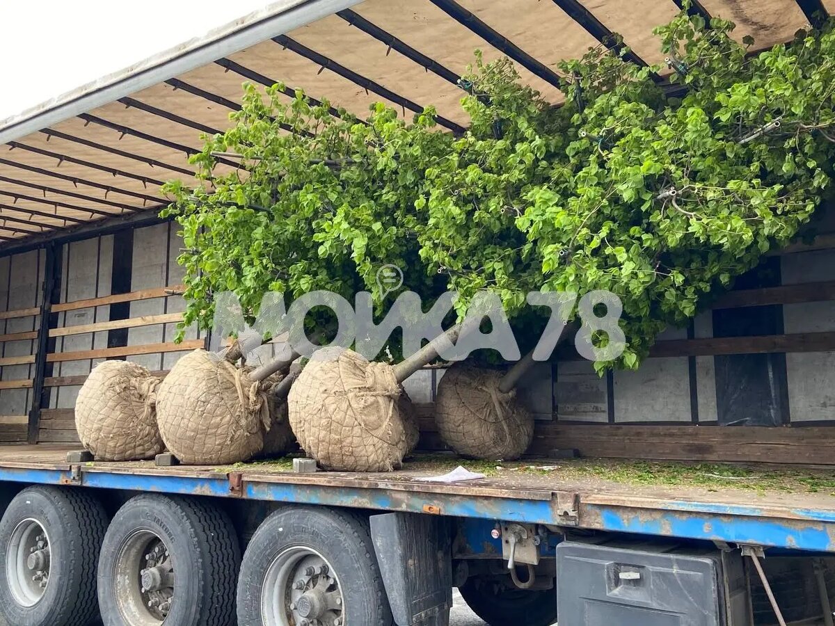    Фото: Мойка78