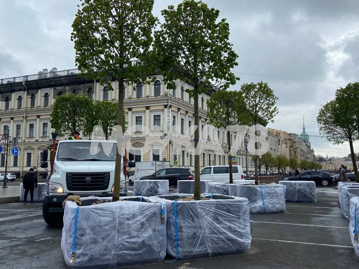    Фото: Мойка78