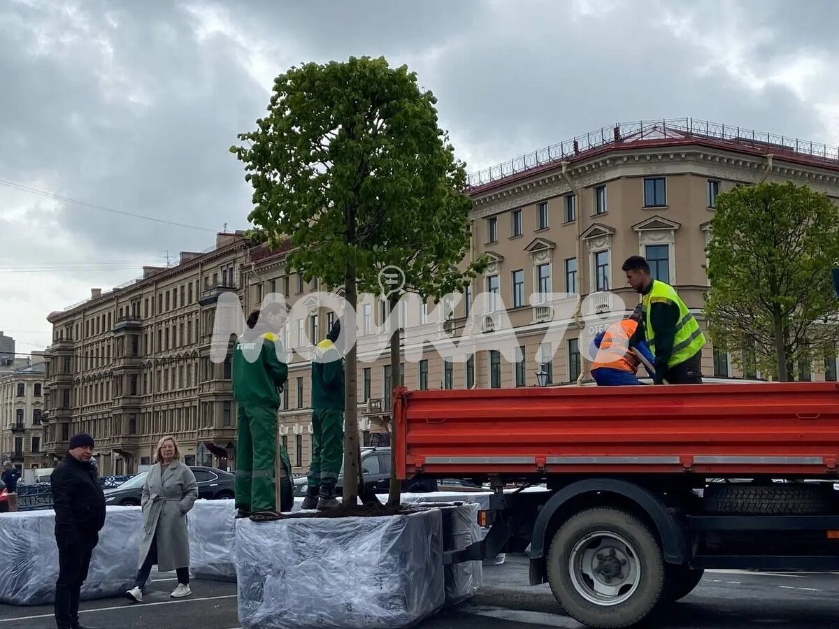    Фото: Мойка78