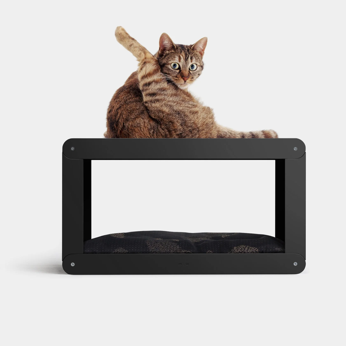 Изображения с сайта miioo.ru