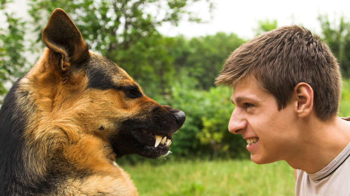 Фото Ftvkun/iStock