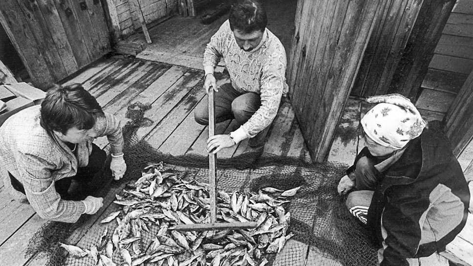 Фото: Александр Тимошенко / Коммерсантъ