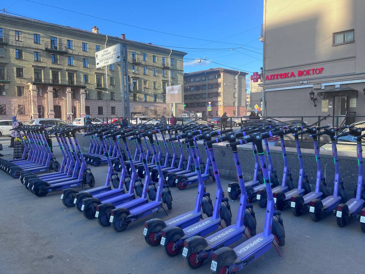 © Форпост Северо-Запад / Анна Волкова