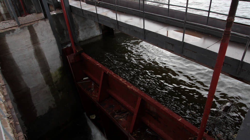 Фото: Максим Кимерлинг / Коммерсантъ