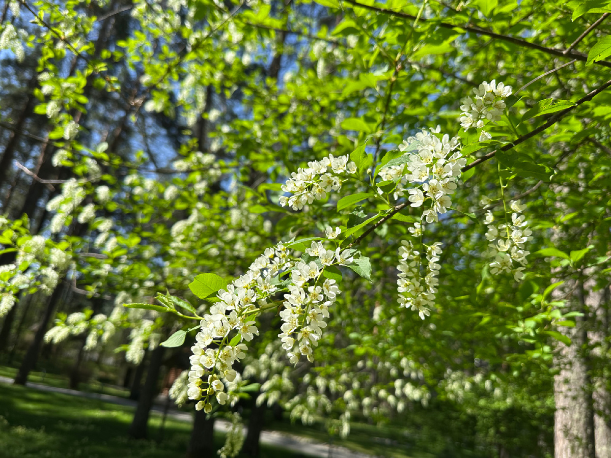 Фото автора.