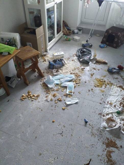 Все в порядке! Я проверила все наши запасы и разложила по местам!