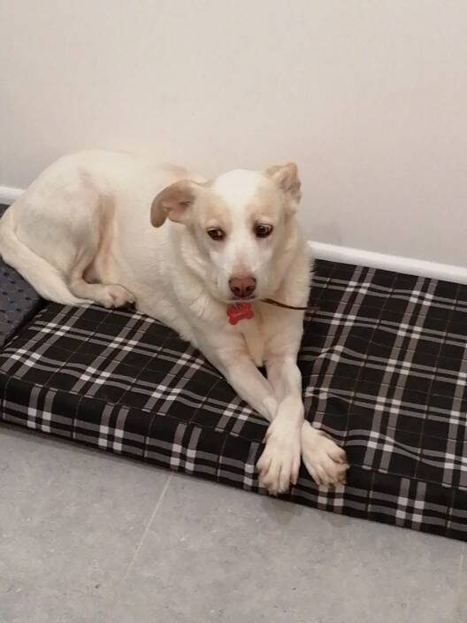 Тык... Этааа.... Я тут ни при чём.