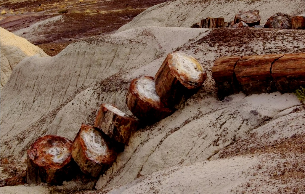 Фото взято в Интернете.