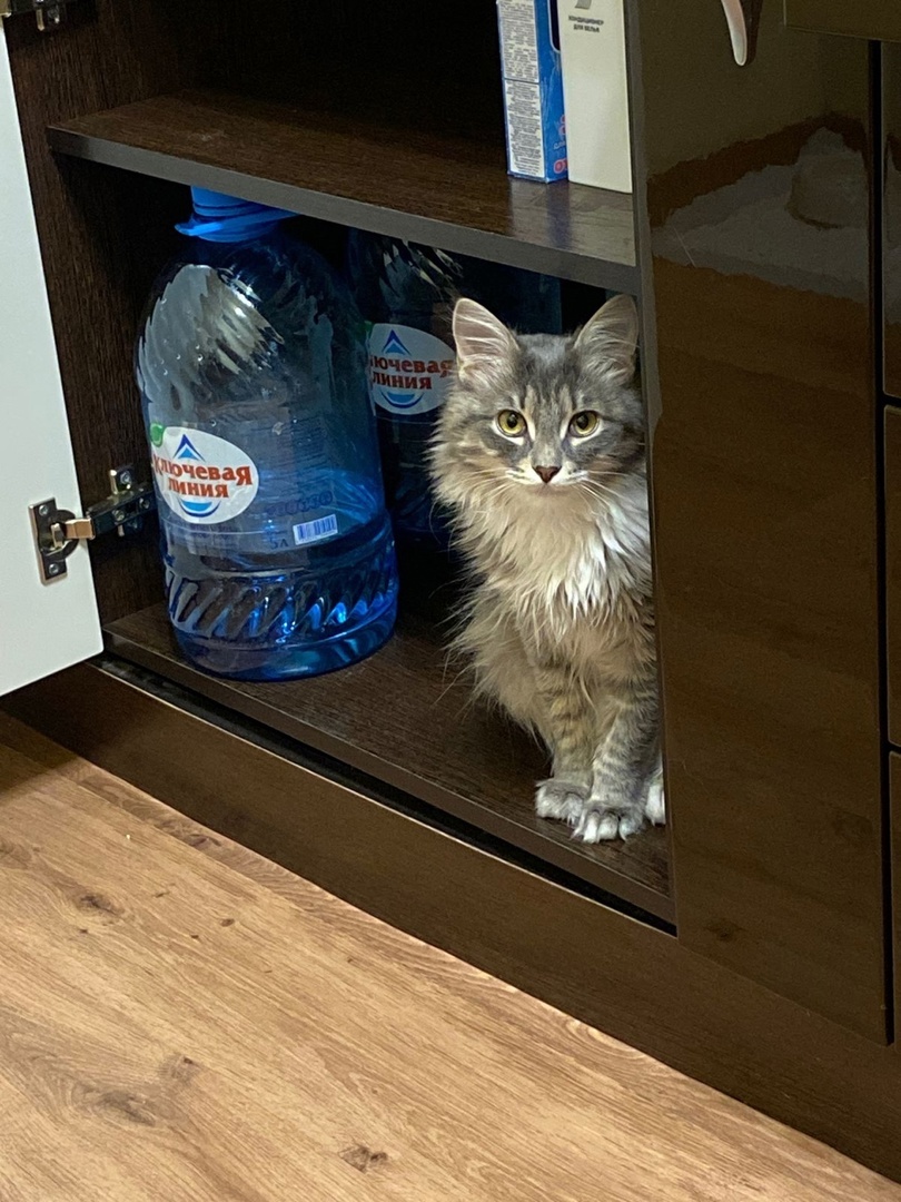 листайте галерею