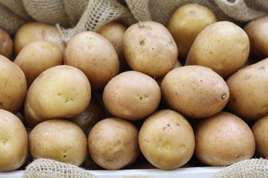    Алексей Белкин/NEWS.ru