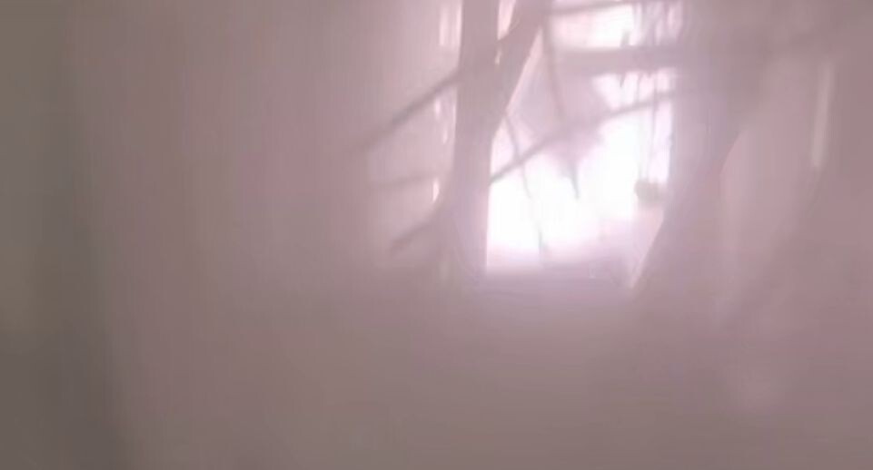    Губернатор Запорожской области Евгений Балицкий / Telegram