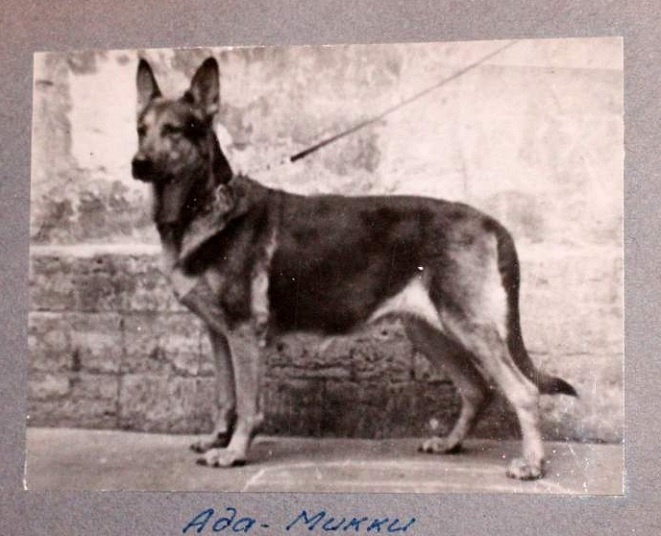 Ада-Микки Успенского