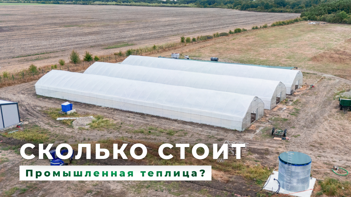 Разбор стоимости промышленной теплицы от производителя