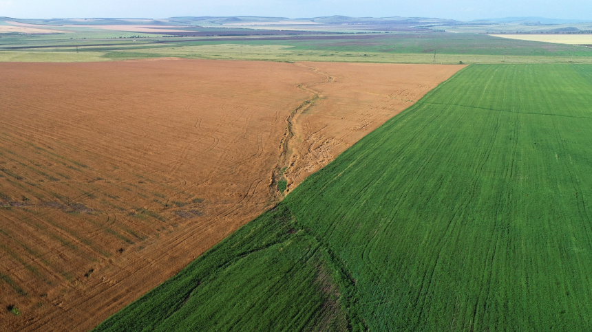    Фото: © РИА Новости/Илья Наймушин; 5-tv.ru