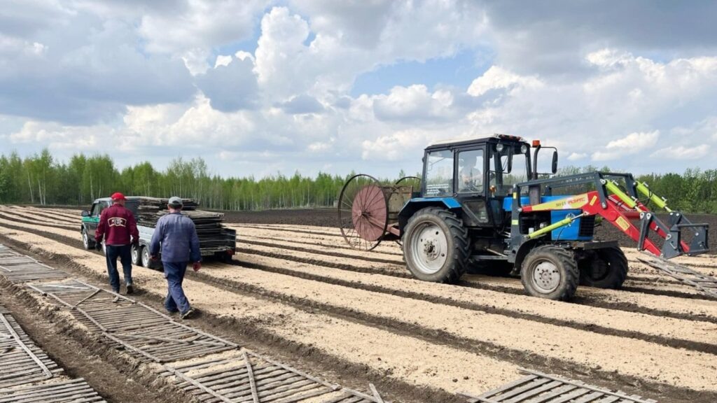 Фото: t.me/minleshoz_rt