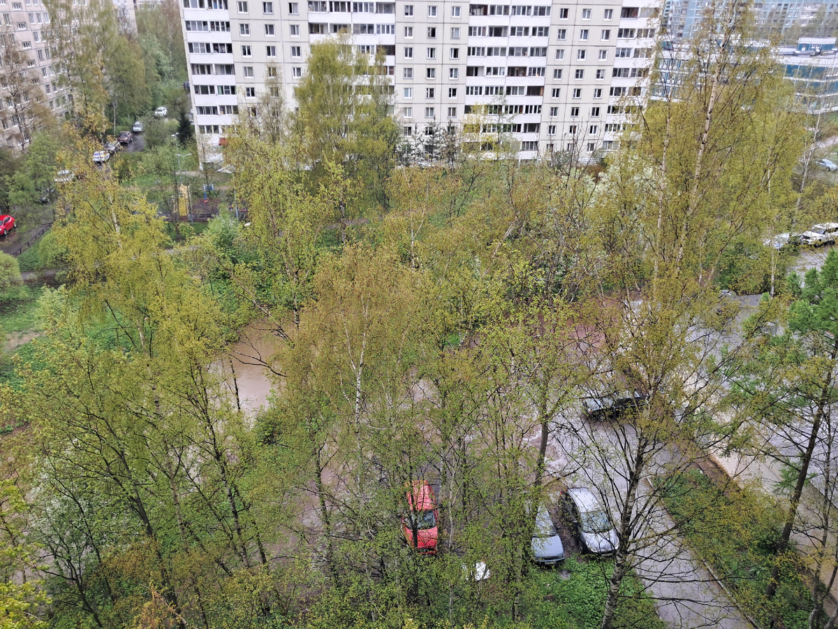 Фото автора 