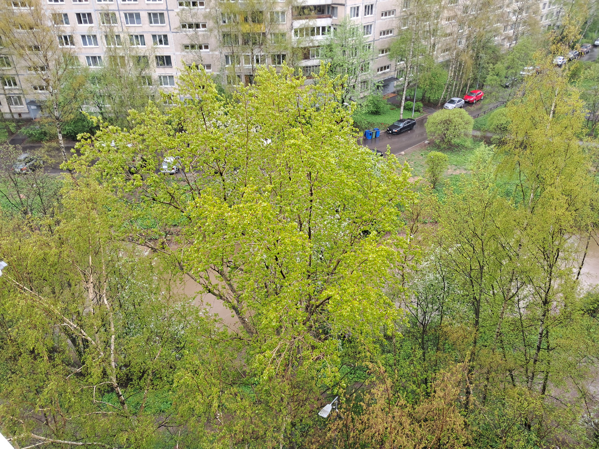 Фото автора 