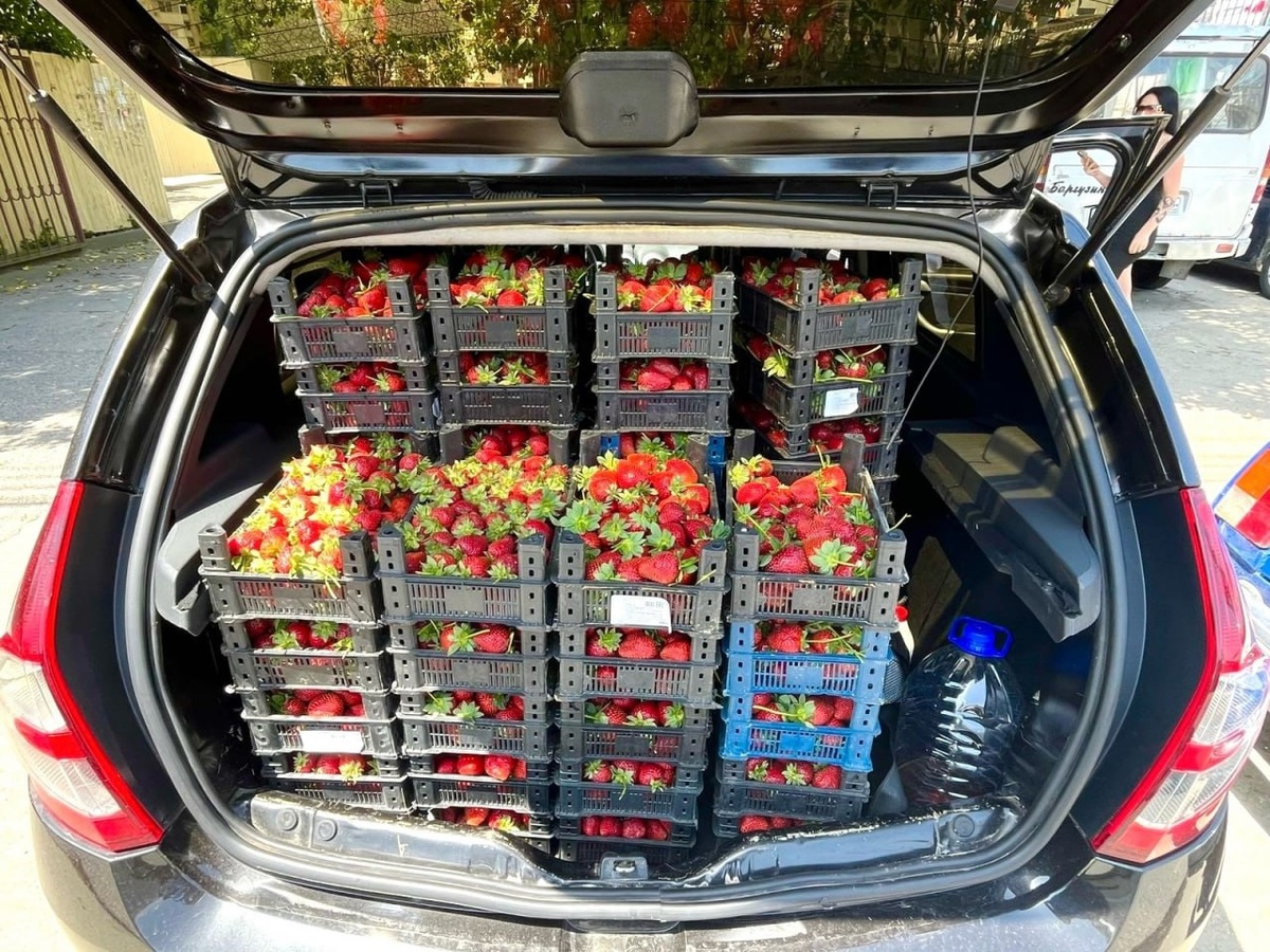    фото: МЦУ Сочи