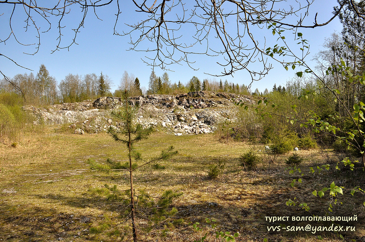 Фото 19.05.2014.