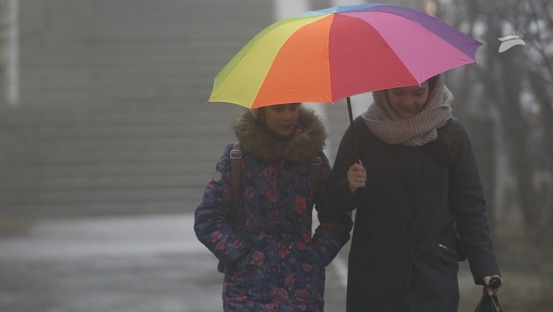      Фото: ИА «Победа26»