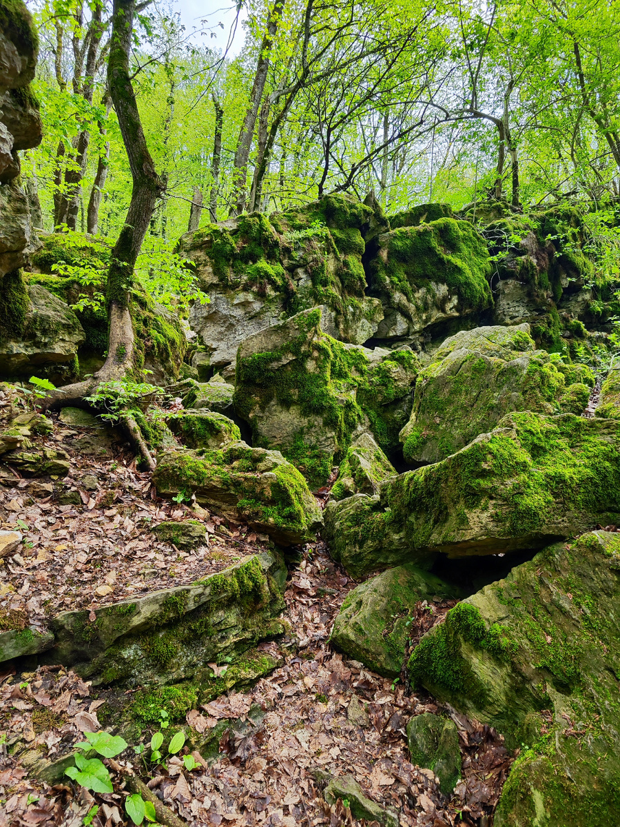 Хаос камней