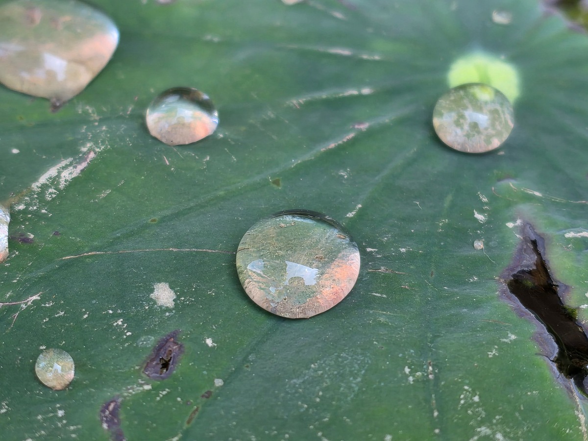 Фото: Ice Universe  📷
