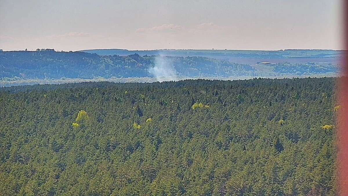     Источник: Пресс-служба минприроды Удмуртии