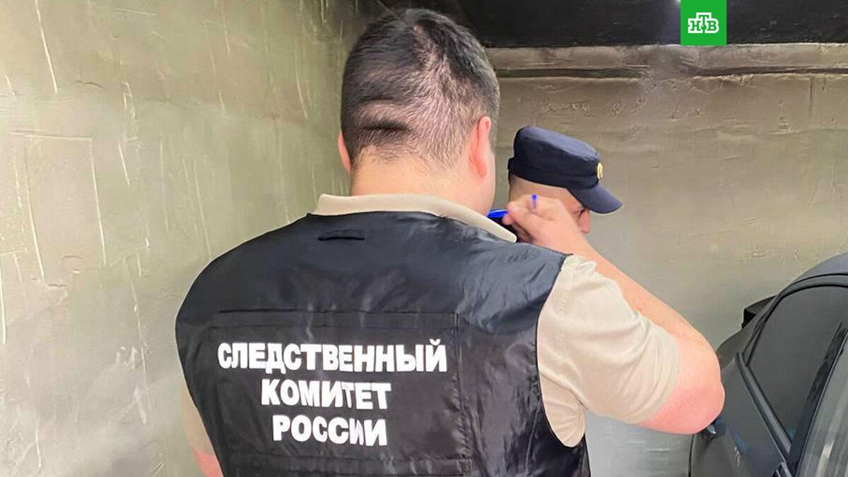    Фото: su_skr64 / t.me