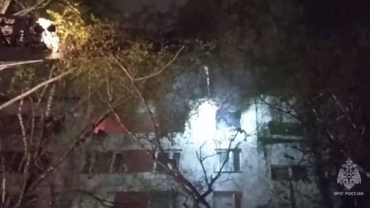   Фото: пресс-служба МЧС России по Москве / Telegram