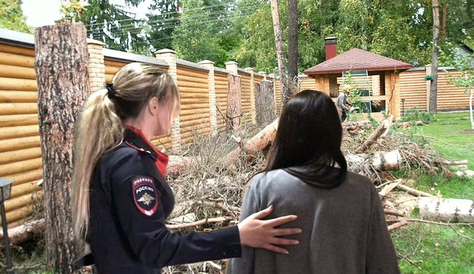 Девушка получила срок за то, что спилила свои же деревья на своём же дачном участке