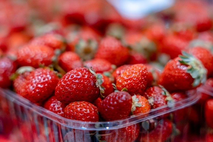    Фото: Геннадий Дьячук, "Кубань Информ"