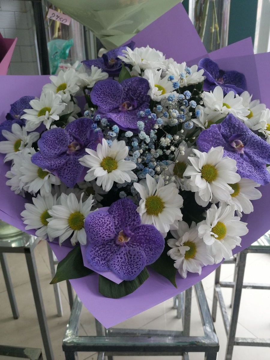 "Фиолетовая симфония"