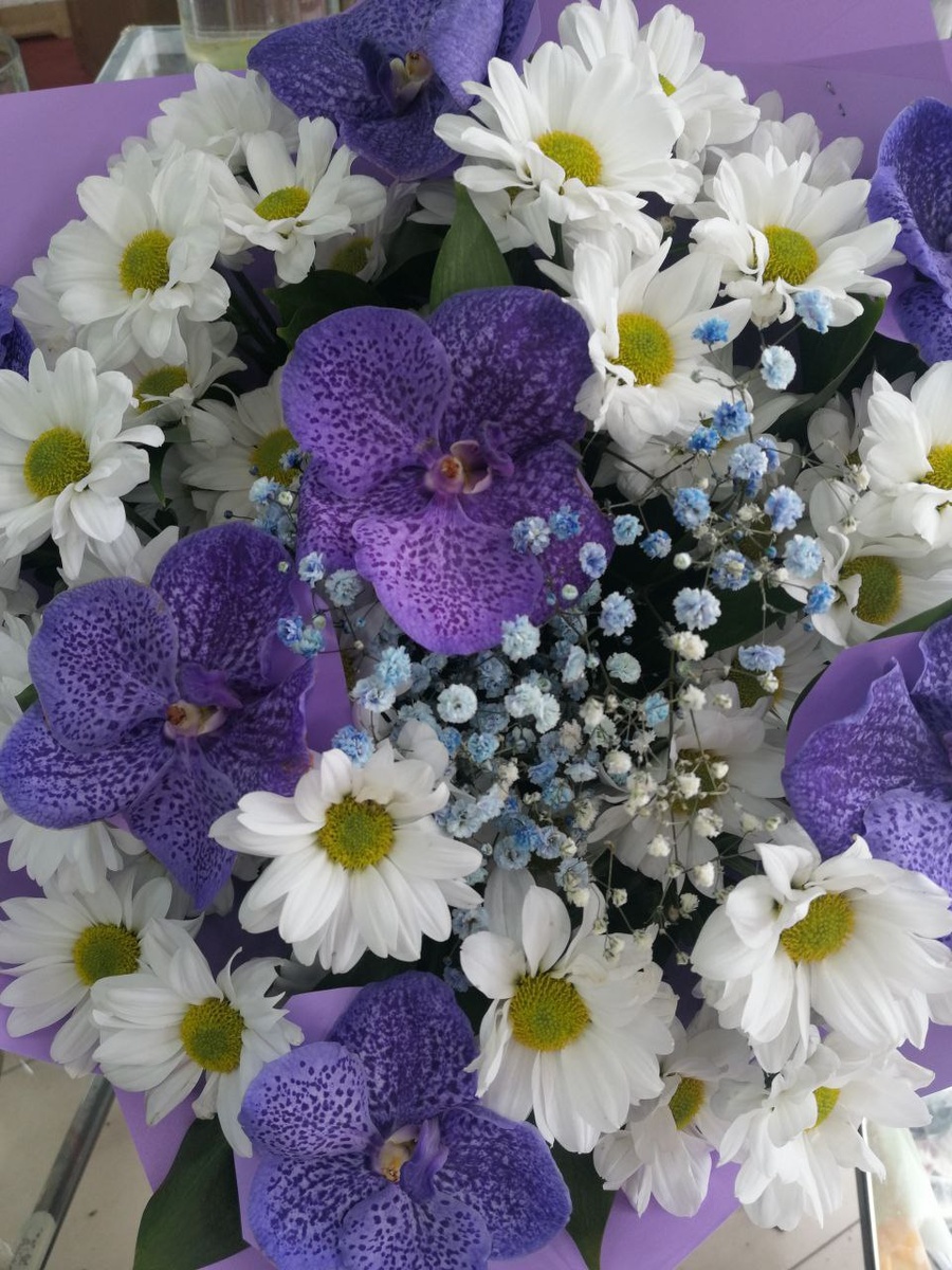 "Фиолетовая симфония"