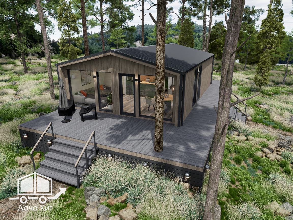 Васаби-53 от Дача Хит Москва и МО.