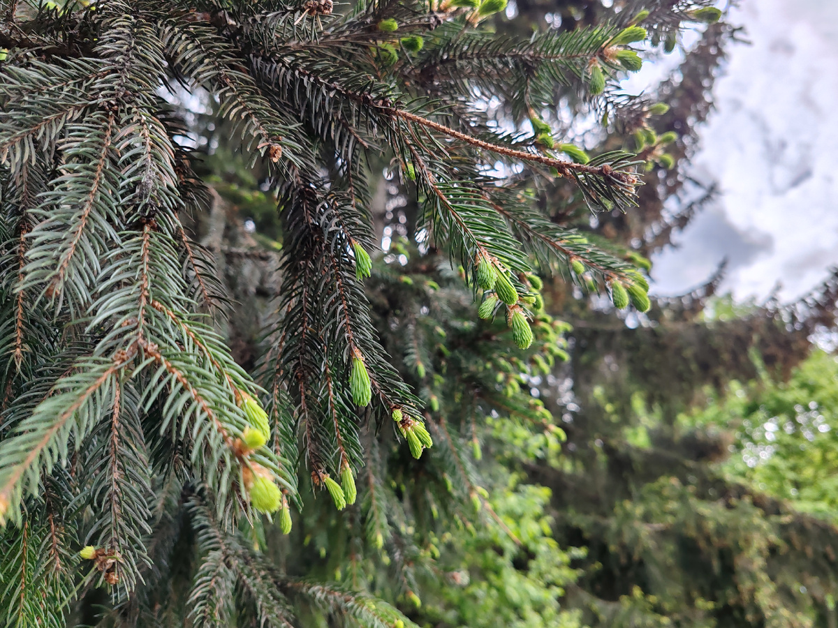 Фото автора канала. 