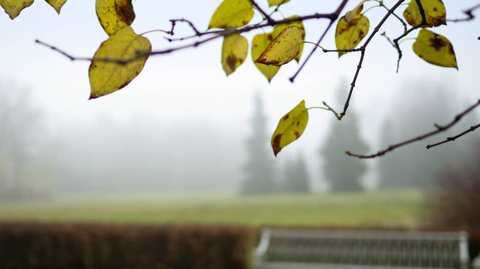 Фото: Майя Жинкина / Коммерсантъ