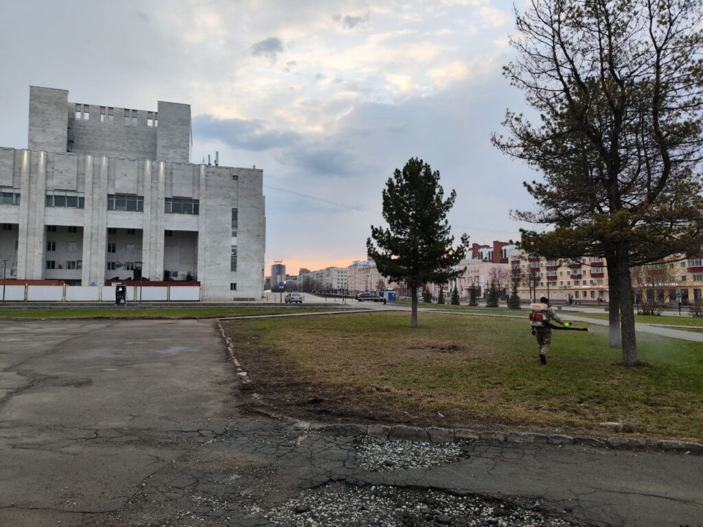    Фото: МКУ «ПермГорЛес» Екатерина Устькачкинцева