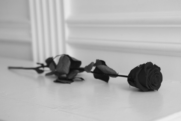 Фото из открытого источника