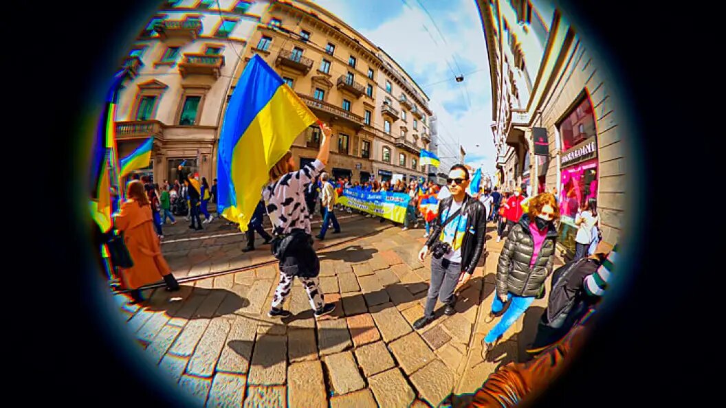    Фото: VILTVART / Shutterstock.com