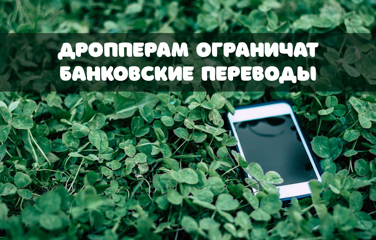 Фото: riggleton / Shutterstock