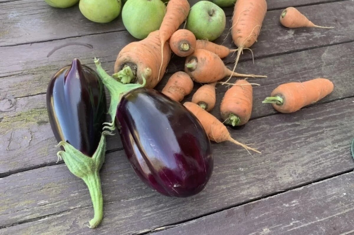    Саратовским дачникам выделили бесплатные места для продажи урожая