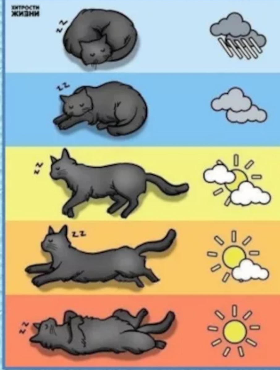 Всё фото из интернета