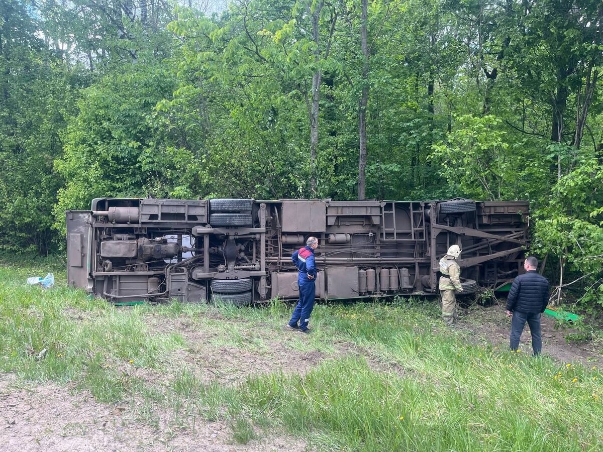     / Источник: Прокуратура Курской области